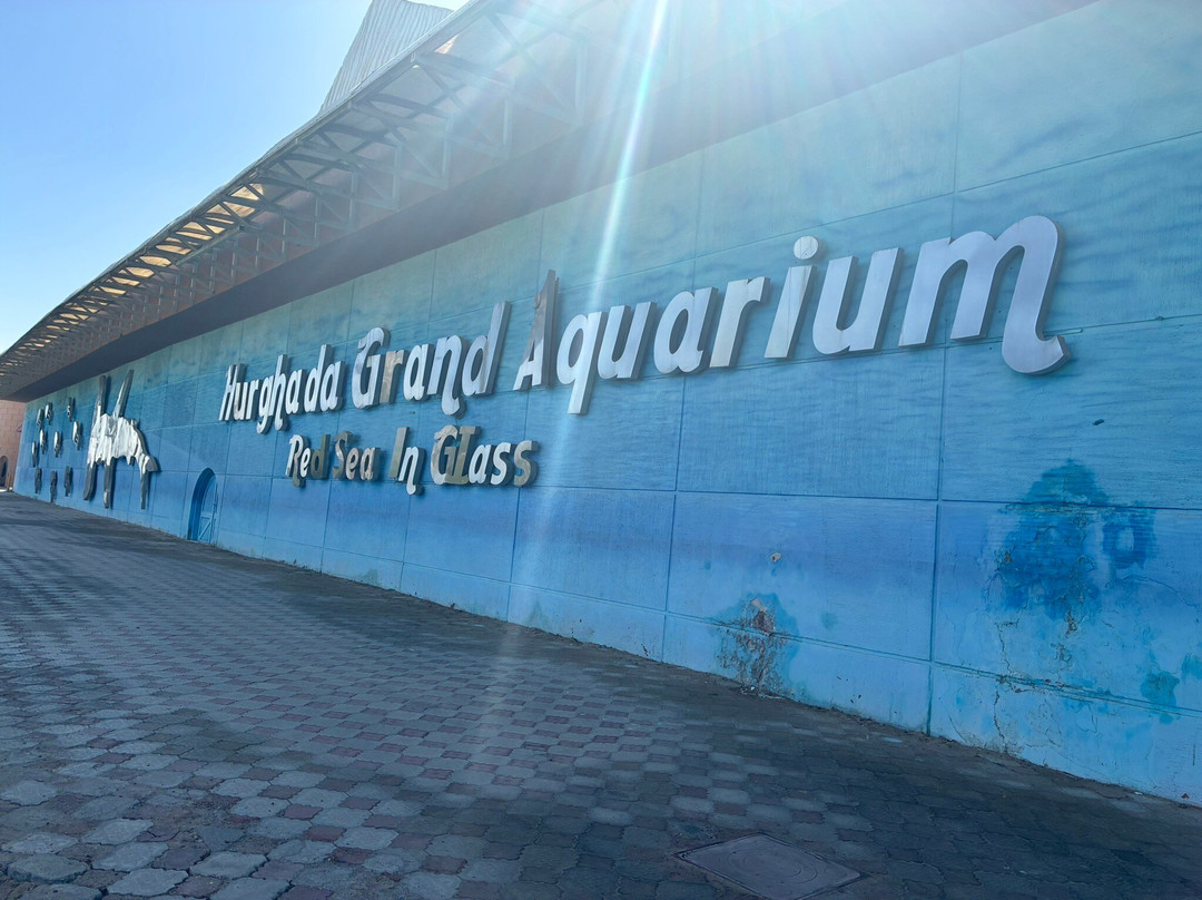 Hurghada Grand Aquarium-赫尔格达必去景点