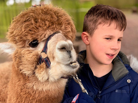 Hilly Ridge Alpacas-Wattisham必去景点