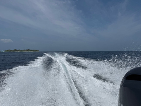 Reef Rangers Ukulhas-乌库拉斯必去景点