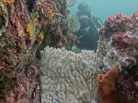 Gaia Divers - Underwater Experiences-Mazunte必去景点