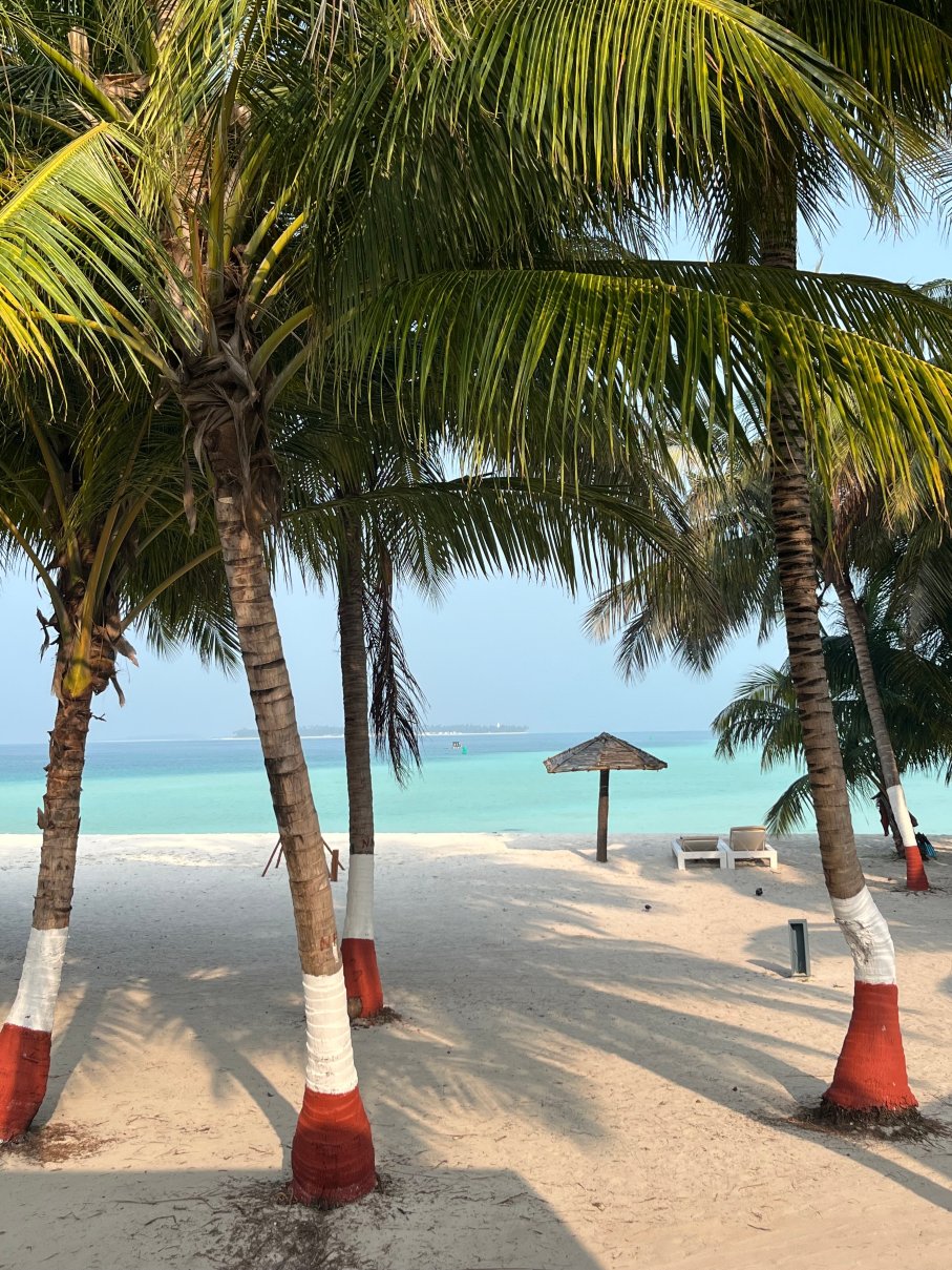 Bangaram Island Beach Resort-泳池