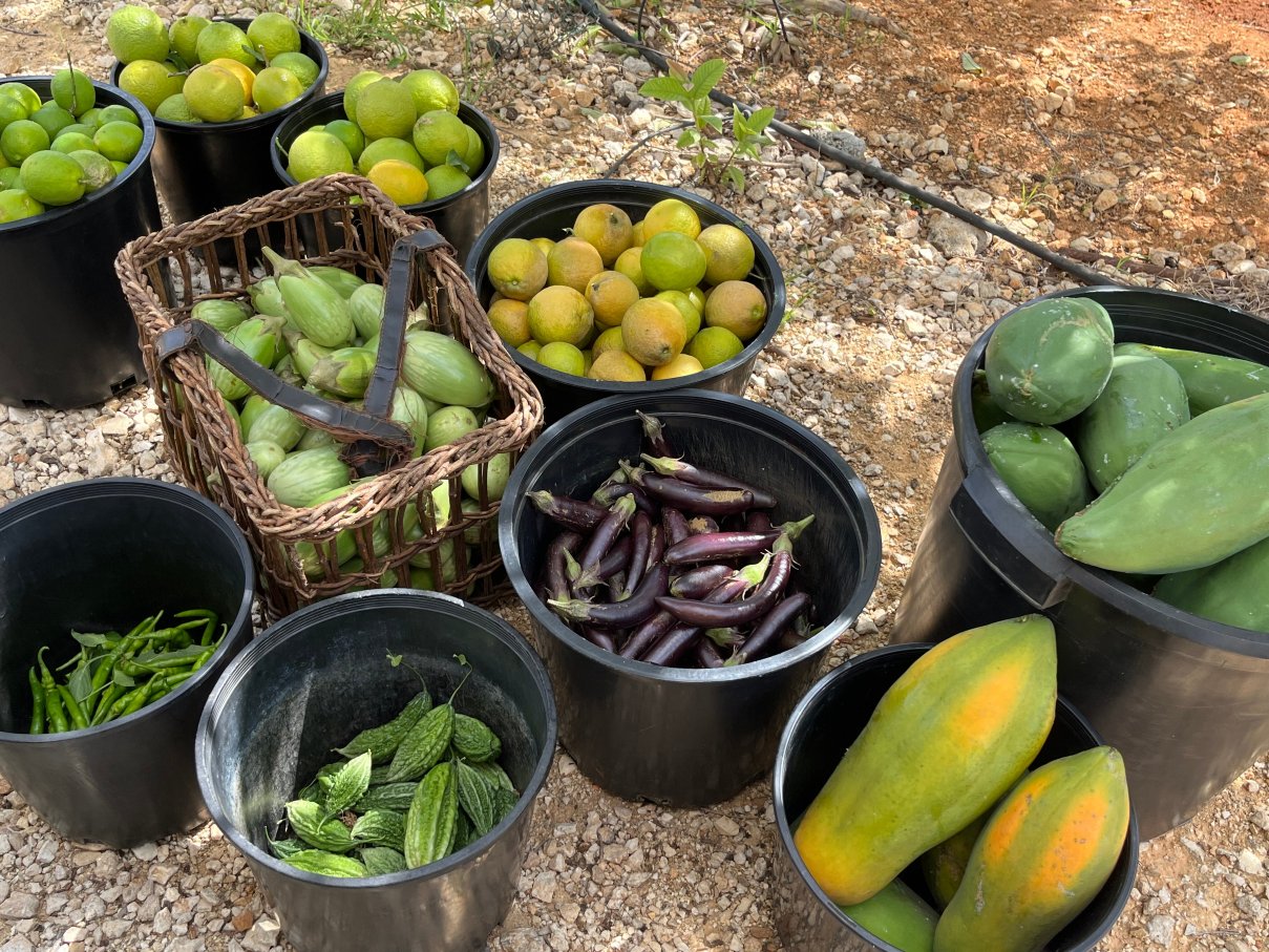 Le Soleil d'Or-泳池