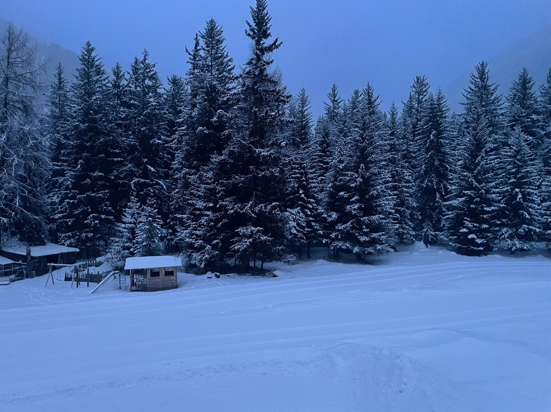 Hotel Cevedale主图