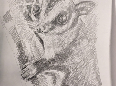 Cuddly Colony-布莱顿必去景点