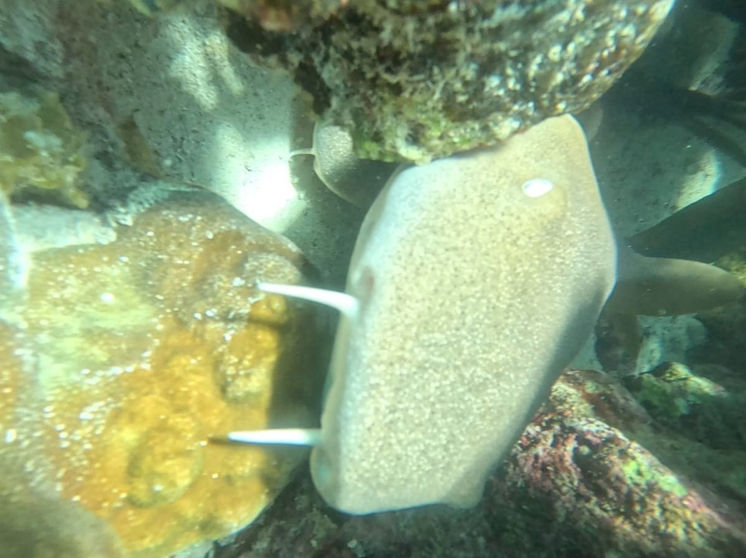 Playa El Cielo Cozumel-考祖梅必去景点
