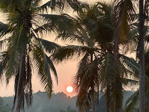 Suhasna Travels & Tours-马塔拉必去景点