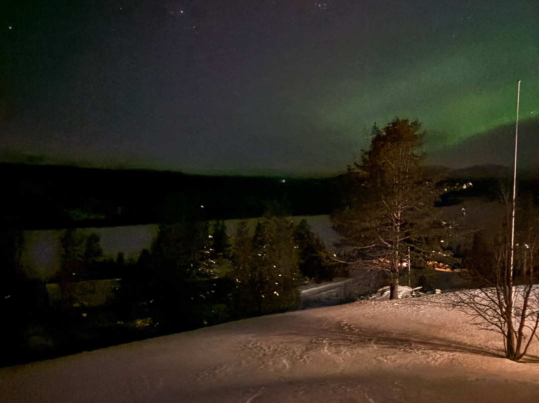 Gala Hogfjellshotel主图