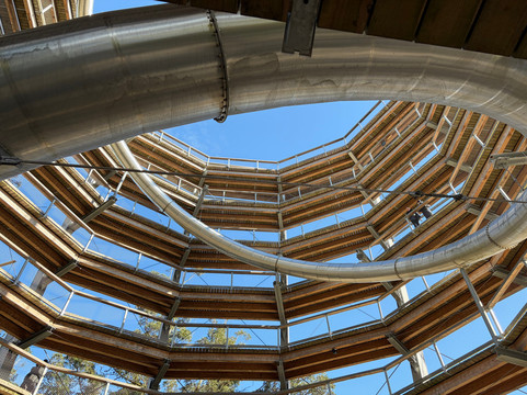 Treetop Walk Avondale