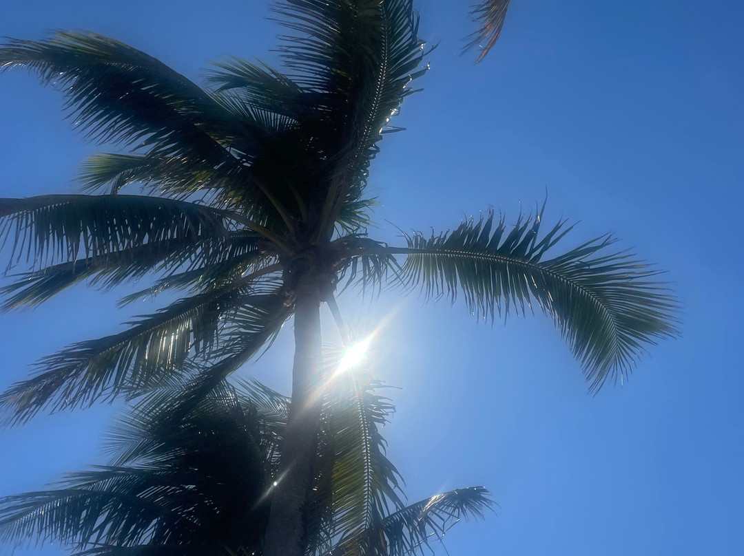 艾胥利布鲁克海滩度假村主图