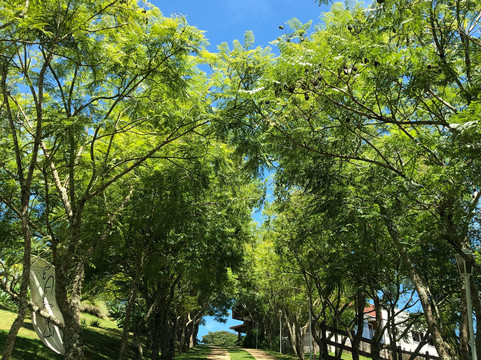 Vinícola Estrada Real-Caldas必去景点