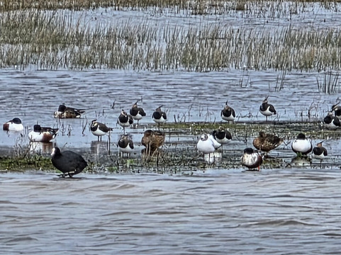Parc du Marquenterre-Saint-Quentin-en-Tourmont必去景点