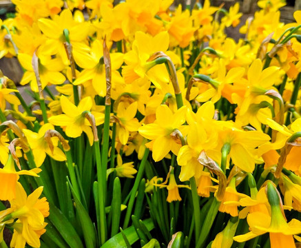 Packwood House-Lapworth必去景点