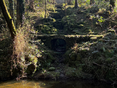 Parc Glynllifon-卡那封必去景点