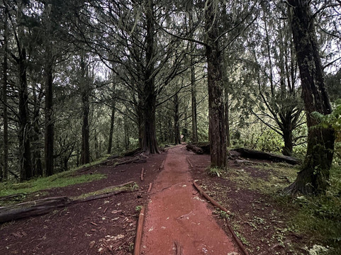 Dare 2 Travel Consultants-阿鲁沙必去景点