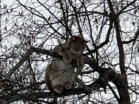 Elistvere Animal Park-Tabivere必去景点