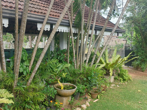 维拉塔普洛班住宿加早餐旅馆主图