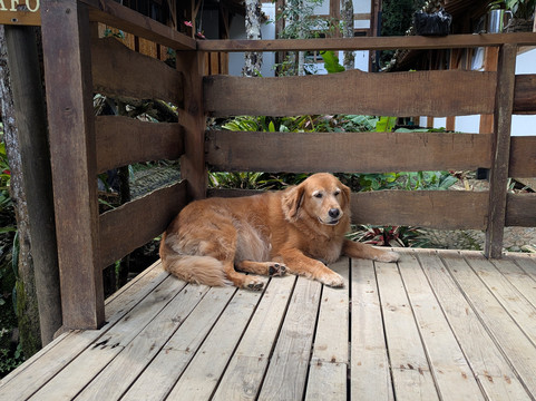 Esmeralda Ecotours San Rafael-San Rafael必去景点