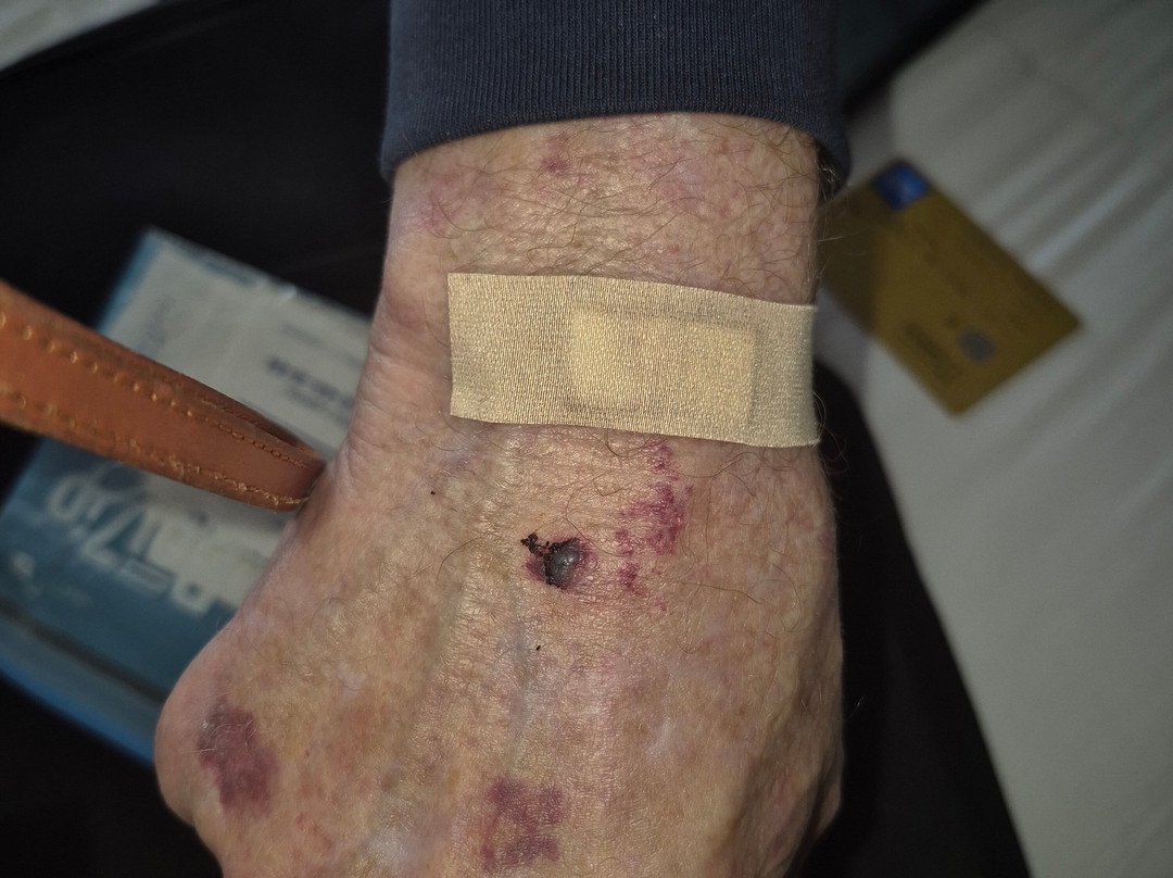 燕子酒店 - 限成人主图