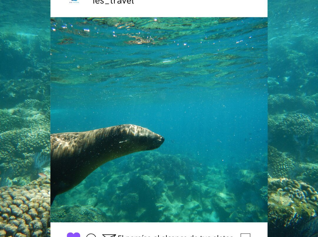 IES Travel-拉巴斯必去景点