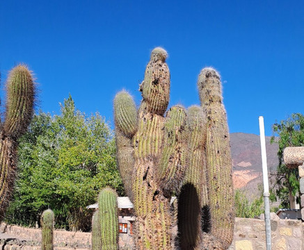 蒂尔卡拉-蒂尔卡拉必去景点