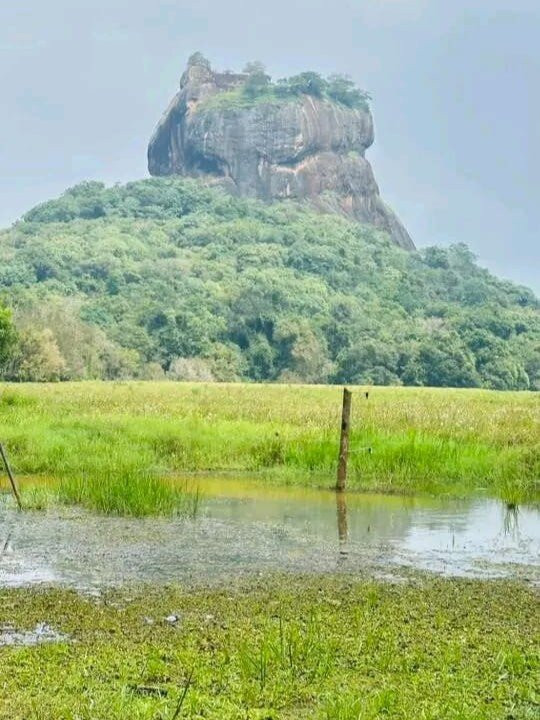 Dizha Lanka Travel  - Sri Lanka Tour-Ganemulla必去景点