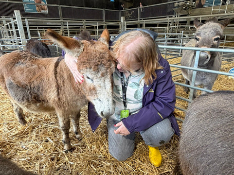 Cannon Hall Farm-Cawthorne必去景点