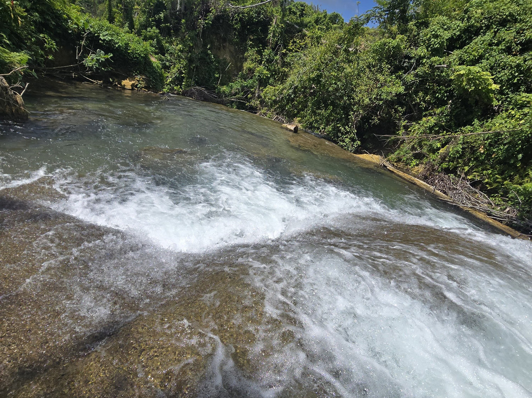 Special Memories Tours & Transfers-内格里尔必去景点