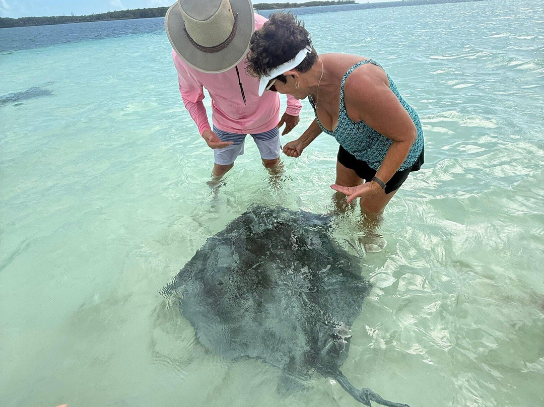 True Blue Charters | Spanish Wells Bahamas Guide-Spanish Wells必去景点