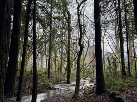 Humboldt Redwoods State Park-Weott必去景点