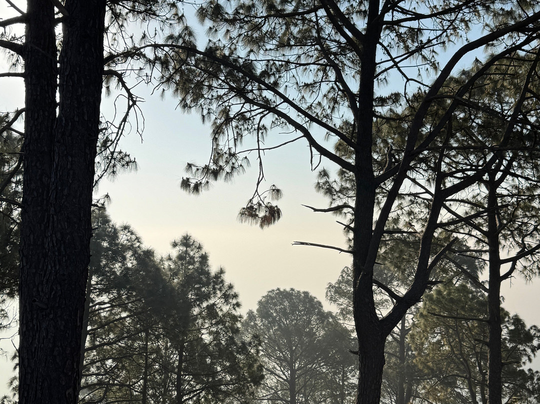 Karoh Peak-Morni Hills必去景点