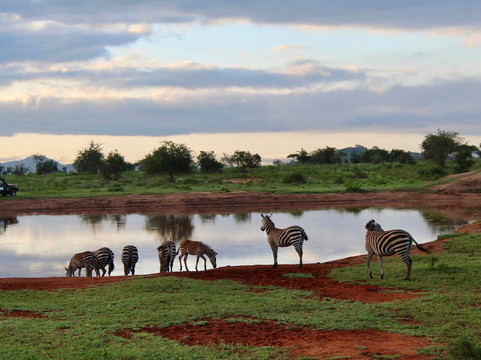 La Toupie Voyageuse-里昂必去景点