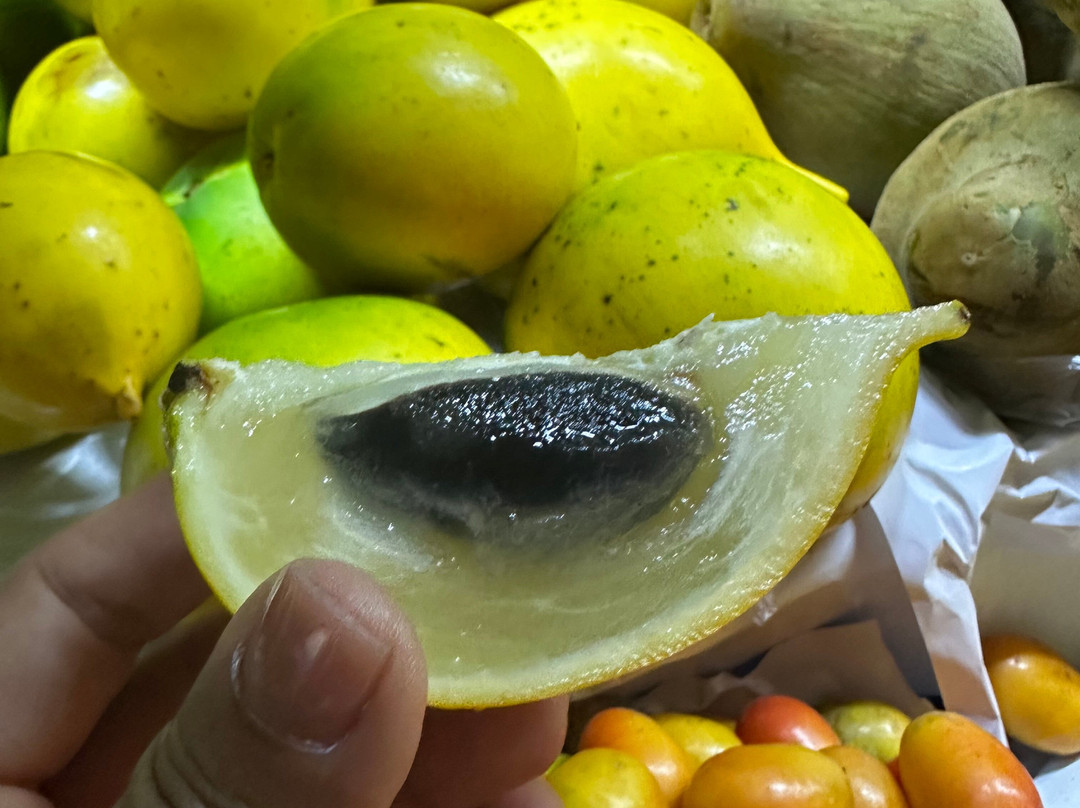 GuruWalk Lima-利马必去景点