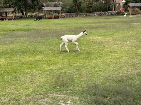 Vietnam Travel Expert-河内必去景点