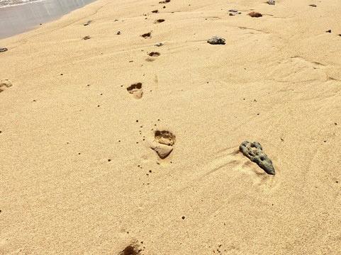 Slice Of Life-卓得多斯必去景点