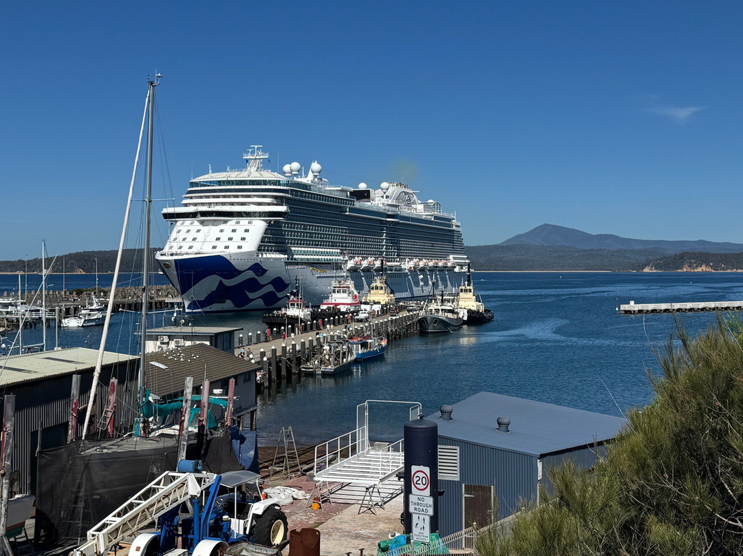 Eden Wharf-伊登港必去景点