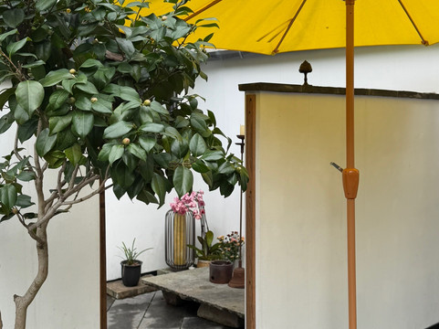 龙井茶田-杭州市必去景点