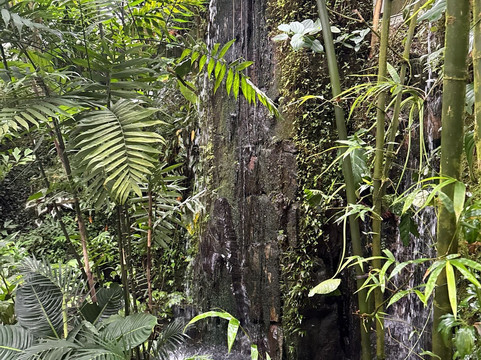 Botanicka zahrada Praha - Tropicky skleník FATAMORGANA-布拉格必去景点