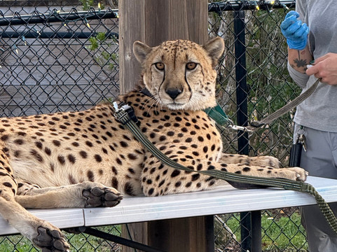 Panther Ridge Conservation Center-Loxahatchee必去景点