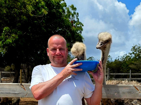 Curacao Ostrich Farm-库拉索必去景点