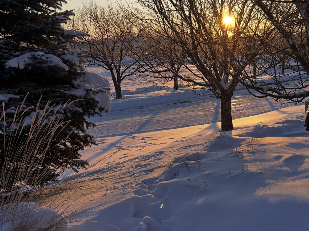 智选假日套房酒店格雷特瀑布主图