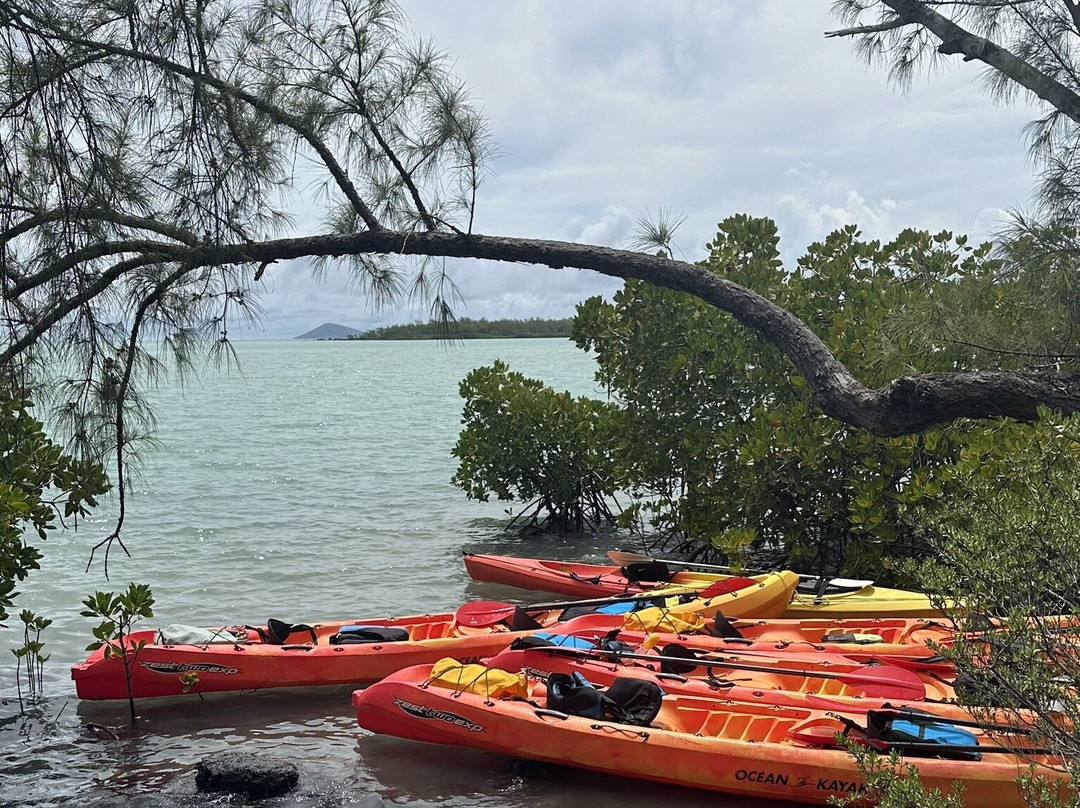 Sea Kayak Adventures-毛里求斯必去景点