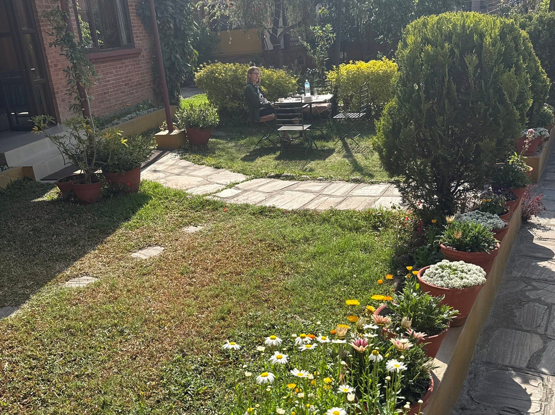 皇家道夫饭店主图