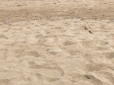 Tam Thanh Beach-Tam Ky必去景点