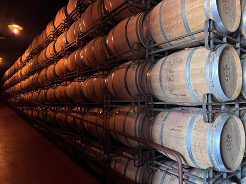 Bodegas Marqués De Cáceres-Cenicero必去景点