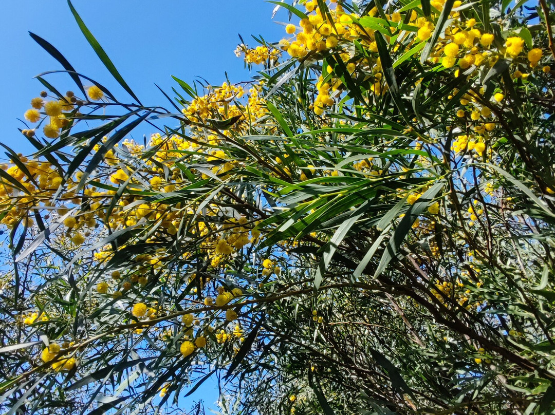 Bee Garden Alghero-阿尔盖罗必去景点