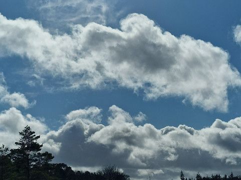 Cragside House and Gardens-Rothbury必去景点