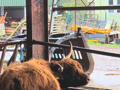 Lower Drayton Farm-Penkridge必去景点