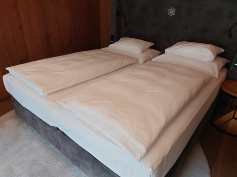 雪绒花 - 萨尔斯堡山度假酒店主图