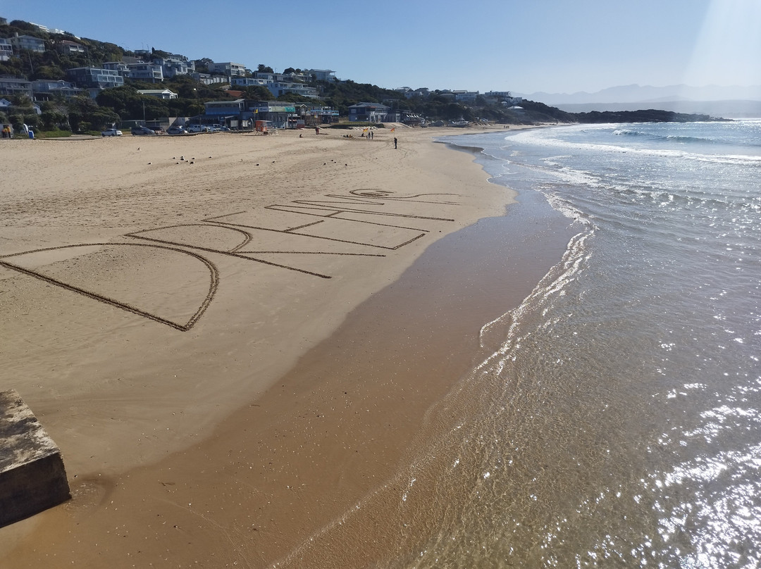 Plettenberg Beach-普利登堡湾必去景点