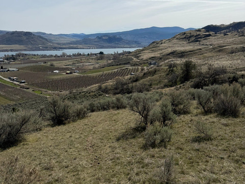 Sun Hills Riding Centre-奥索尤斯必去景点